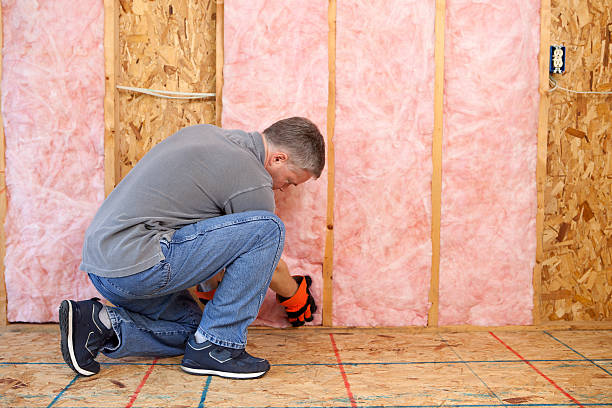 Best Commercial Insulation in Pierce City, MO